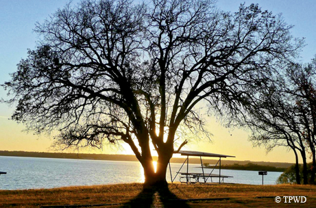 Lake Whitney